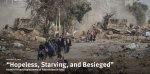 gaza_2024.png